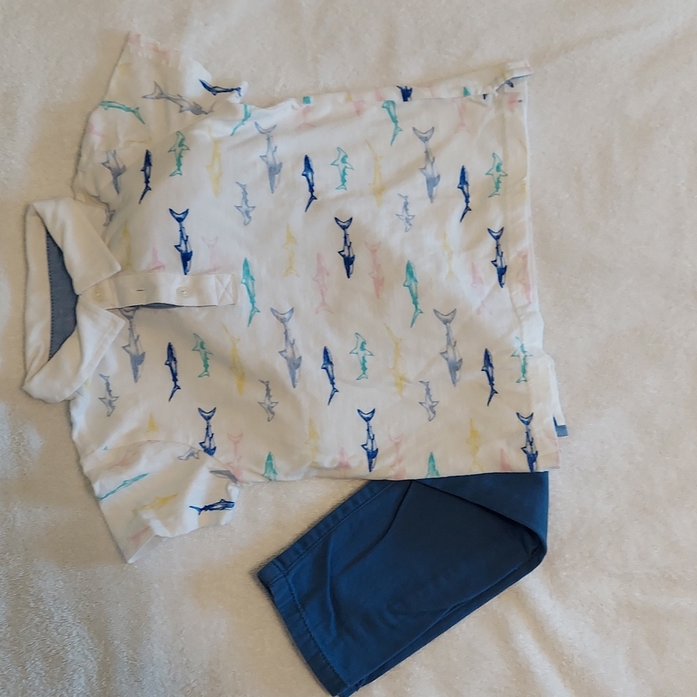 The Children's Place pants (5T) and Crown & Ivy shirt (4T)